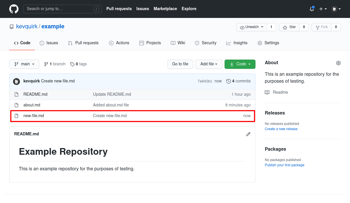 example-repo-new-file