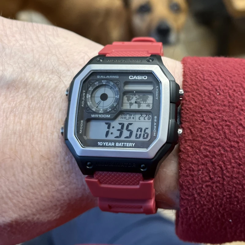 Casio AE-1200