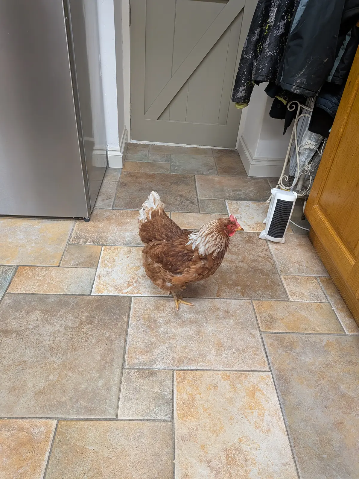 Amelia in the kitchen