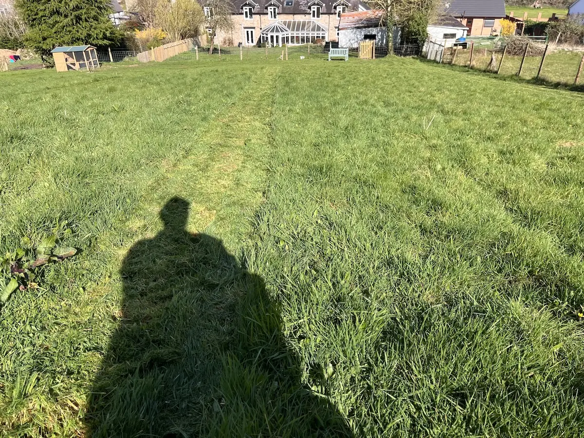 A closer look at how long the grass was