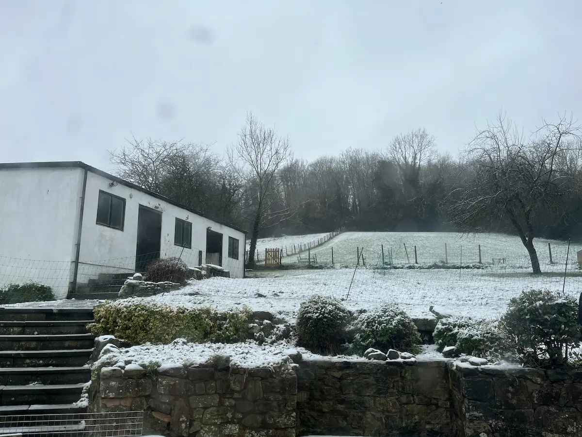 A light dusting of snow on some grass