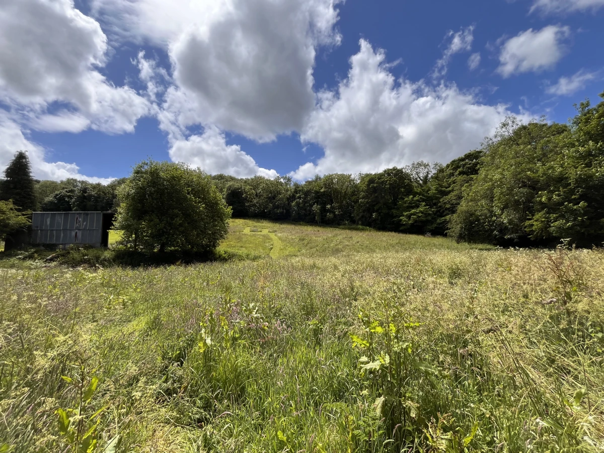 Paths in the field