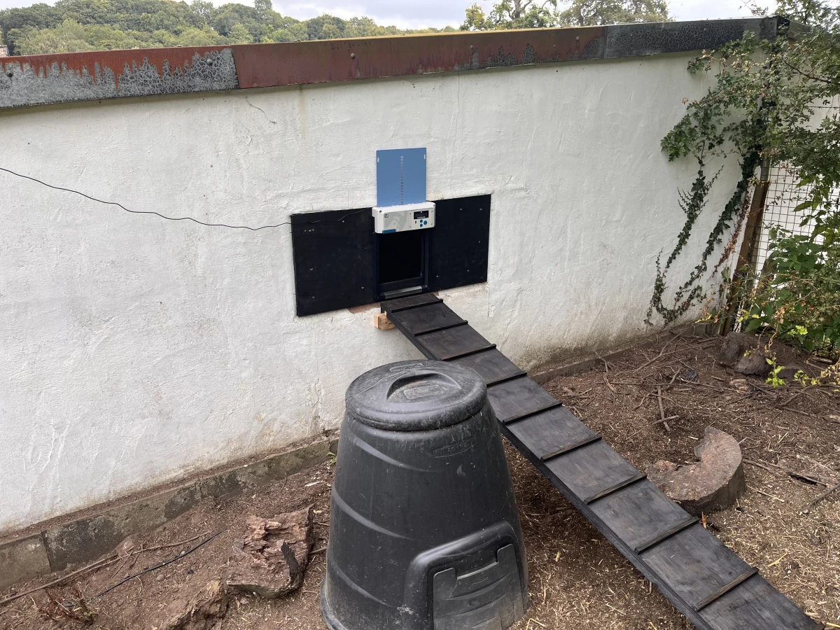 Door and chicken run upto it installed